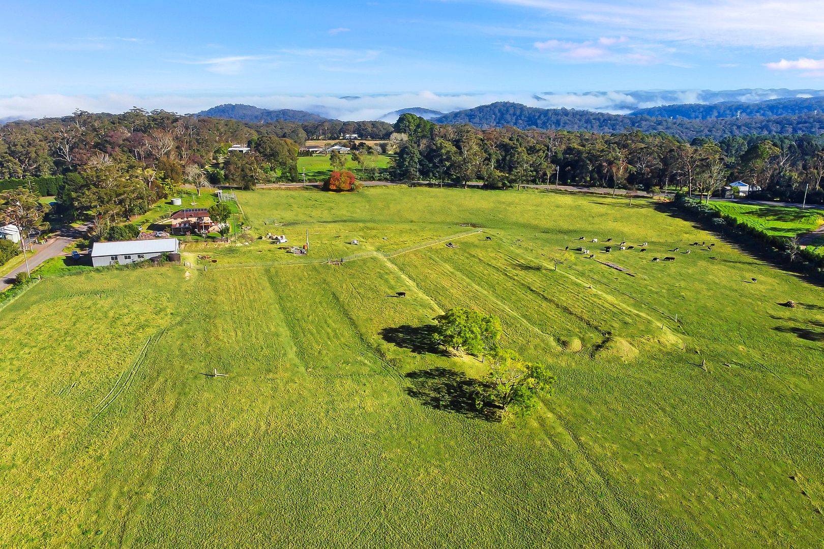 11 Lillicrapps Road, Mangrove Mountain NSW 2250
