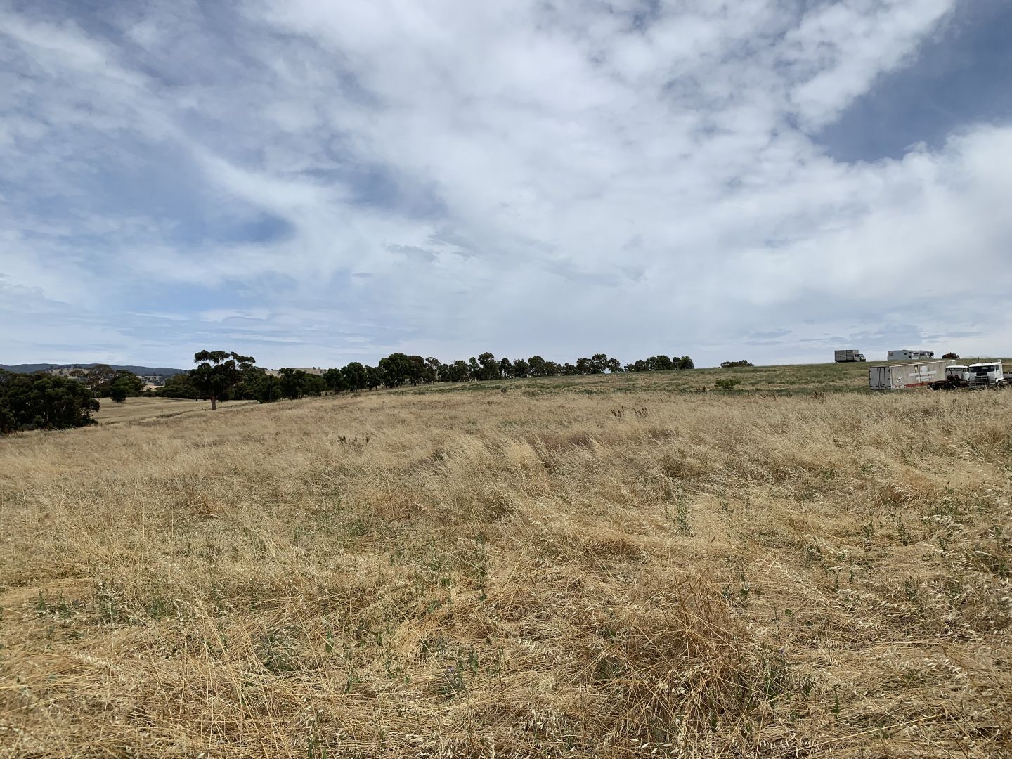 264 Wilds Road, Wirrabara SA 5481 Vacant Land for Sale 90,000