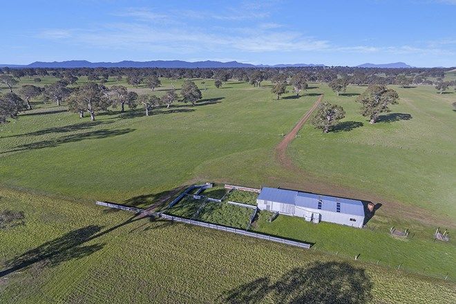 Picture of Mt Cavendish Road, HENSLEY PARK VIC 3301