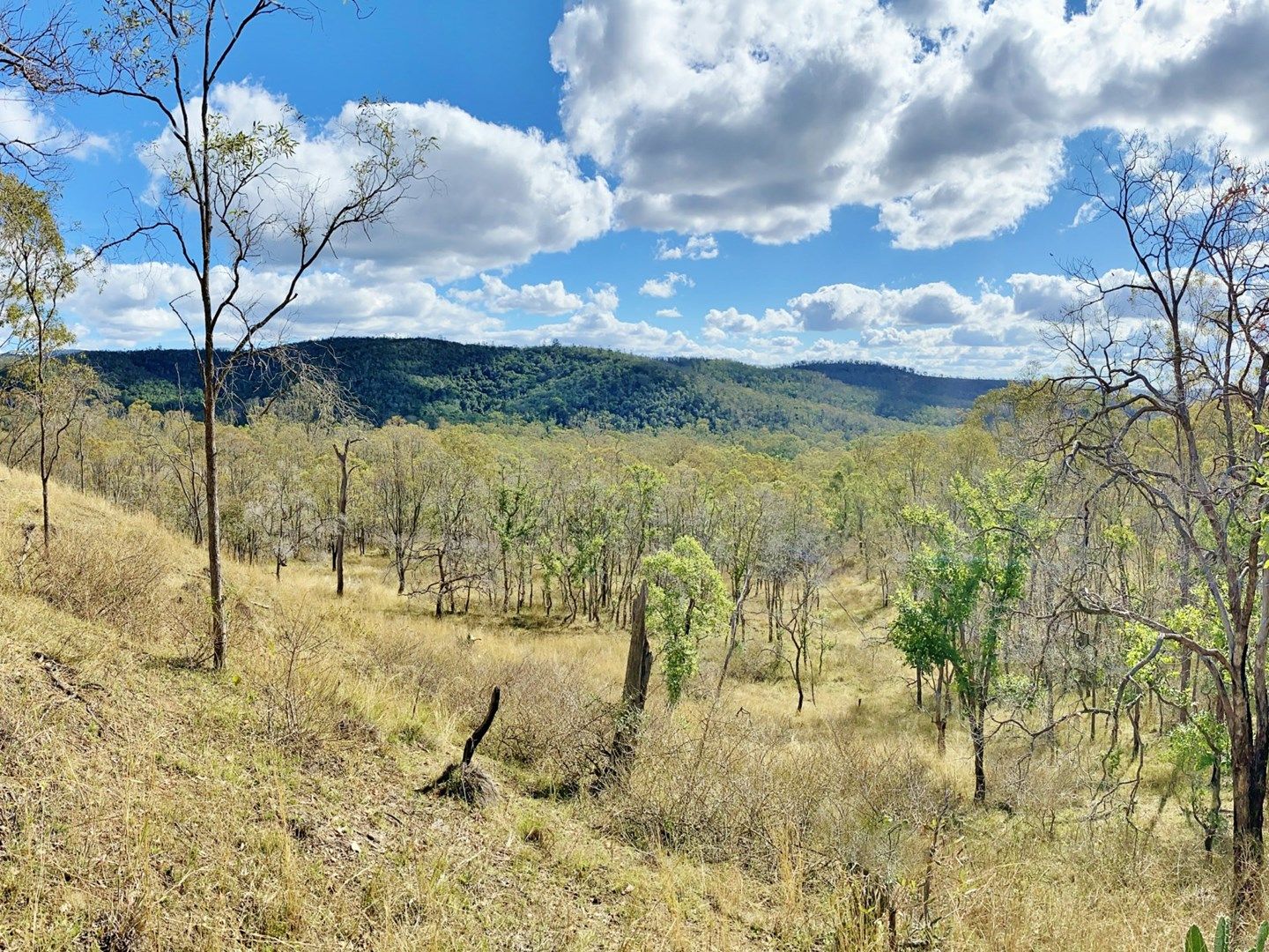 Lot 53 Tim Shea Creek Road, Wengenville QLD 4615, Image 0