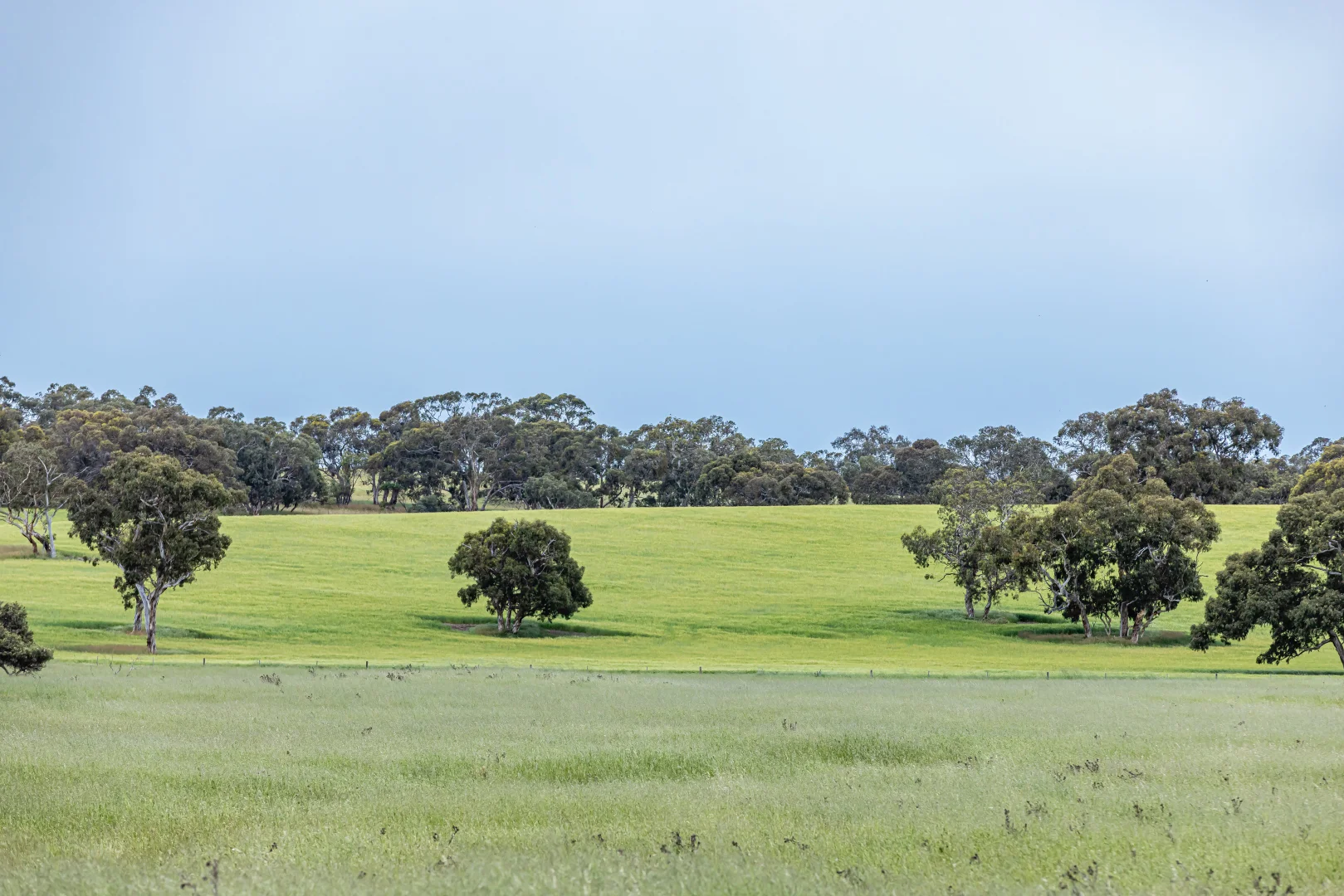 Image 22