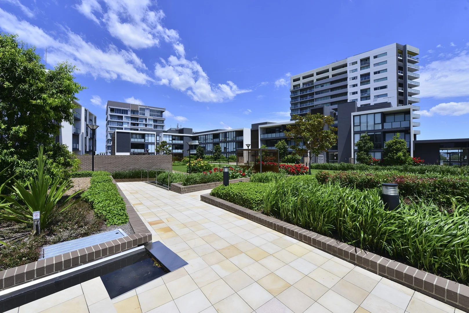 Additional image 5 of 549/2C Defries Avenue, Zetland NSW 2017