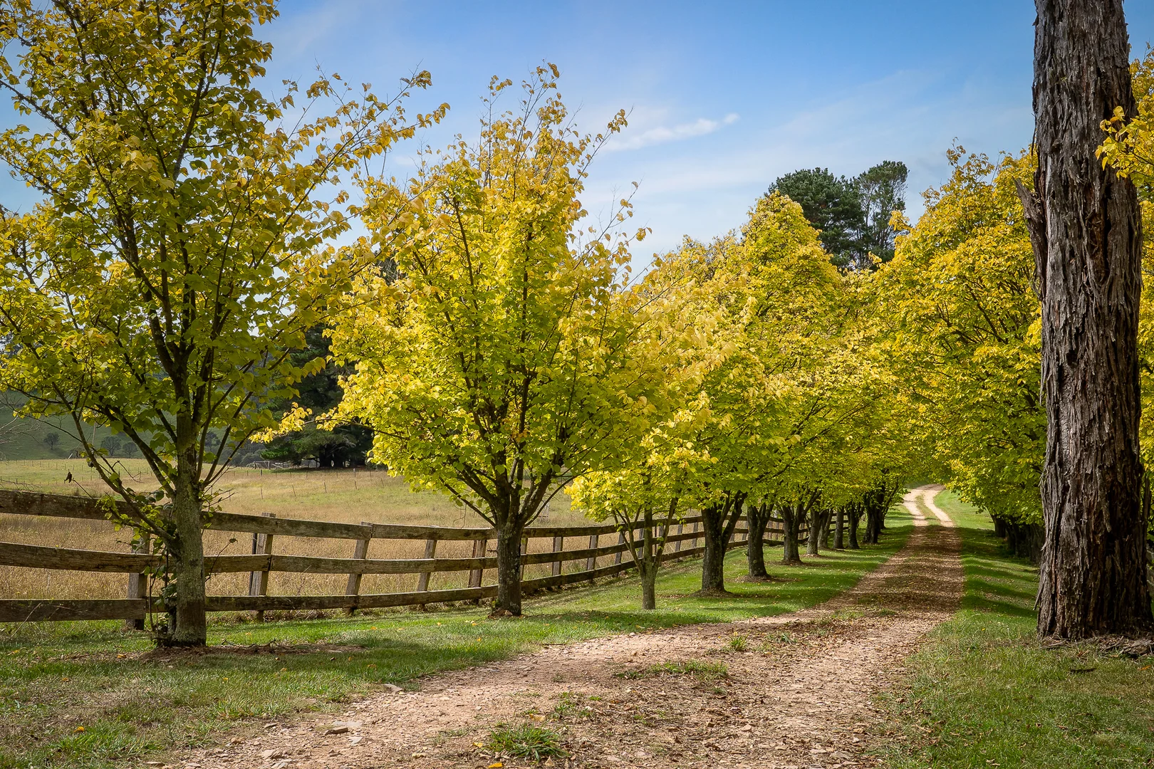 Additional image 5 of 370 Springmount Road, Oberon NSW 2787