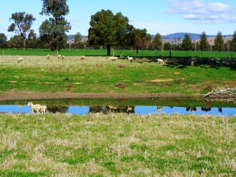 405 Culcairn-Holbrook Road, Morven NSW 2660, Image 2