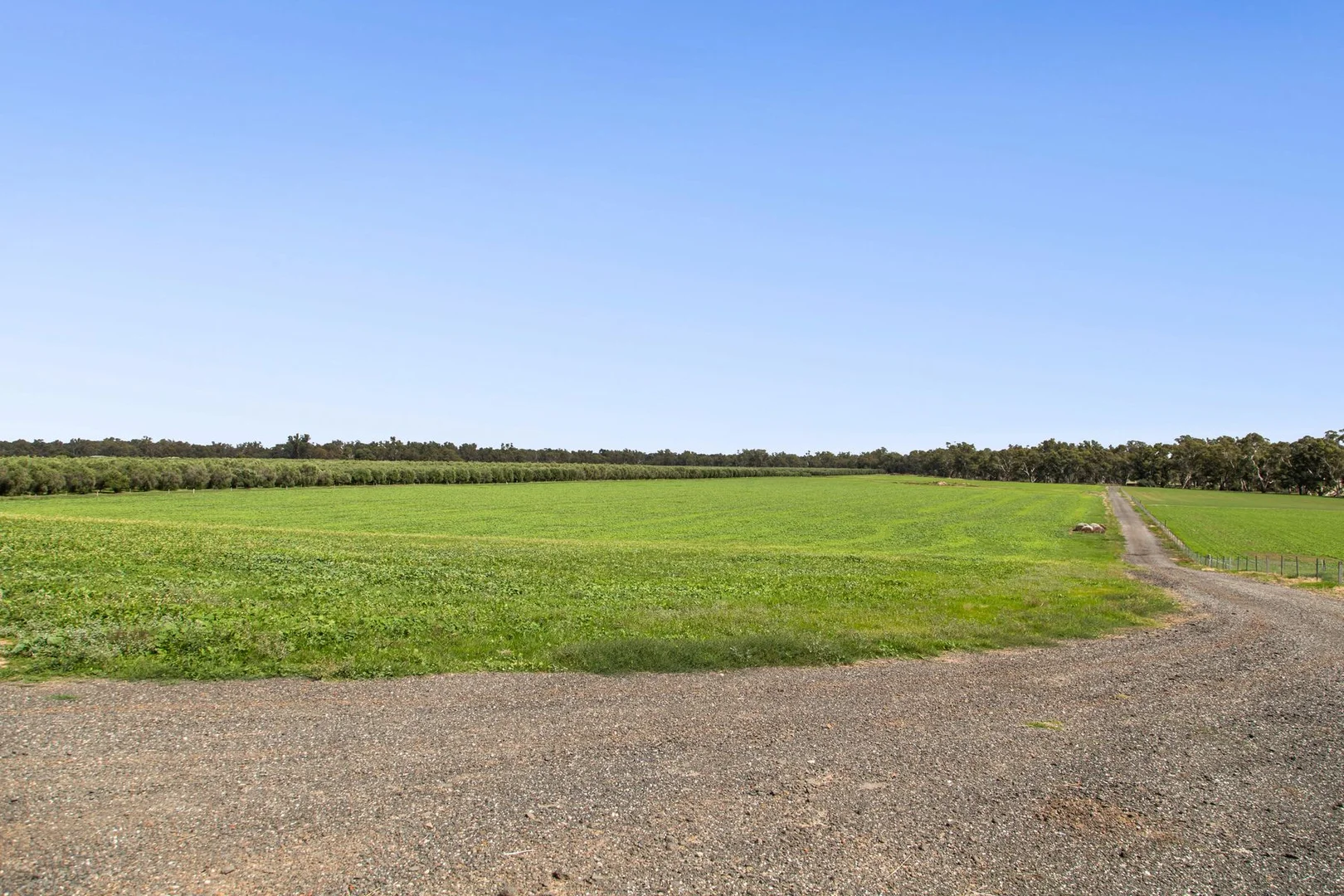Additional image 9 of Lot 2 Barnadown-Knowsley Road, Muskerry VIC 3557