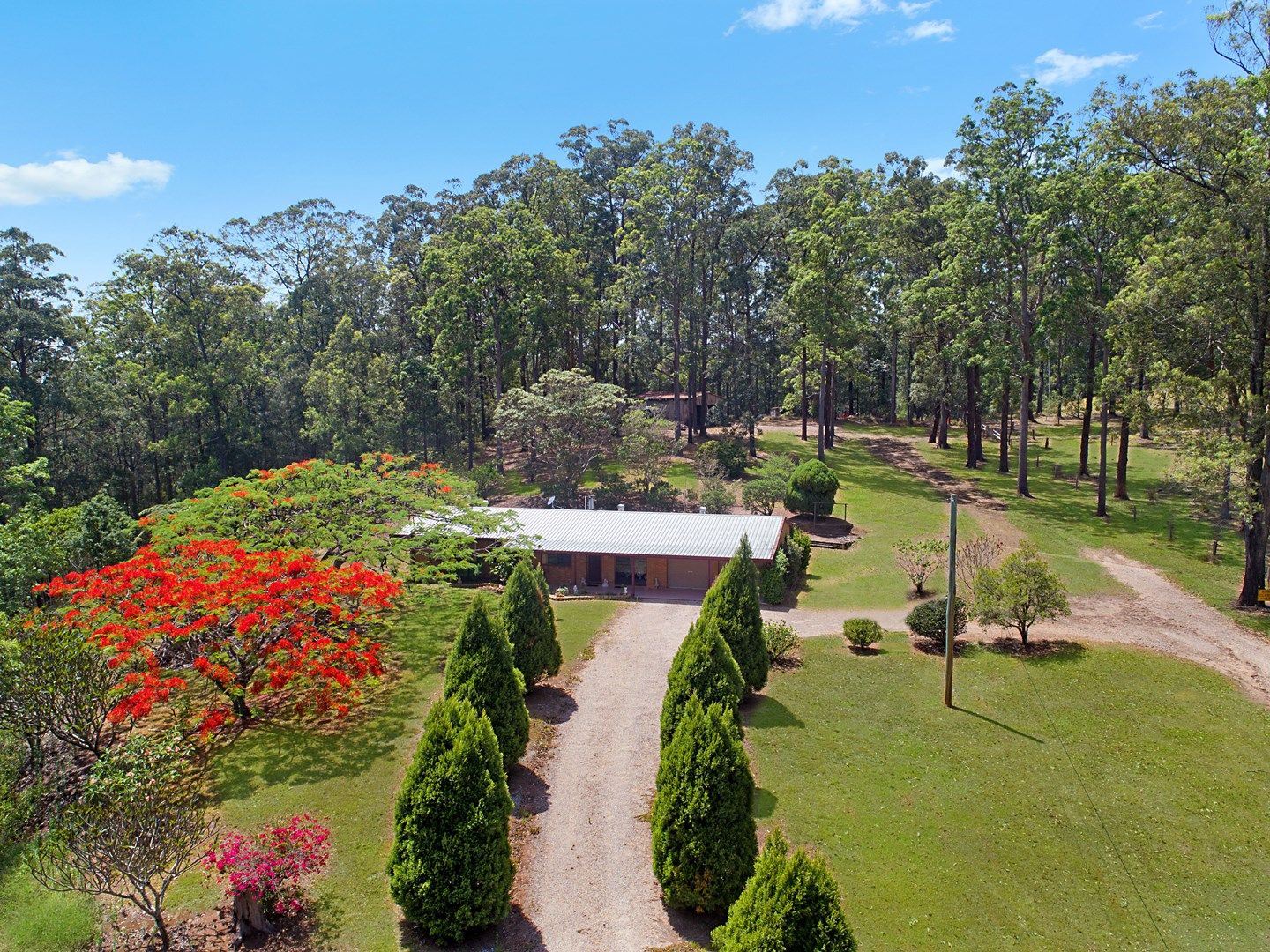 509 Zara Road, Limpinwood NSW 2484, Image 0