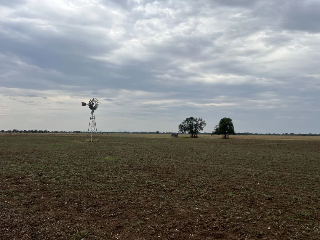 Image 18