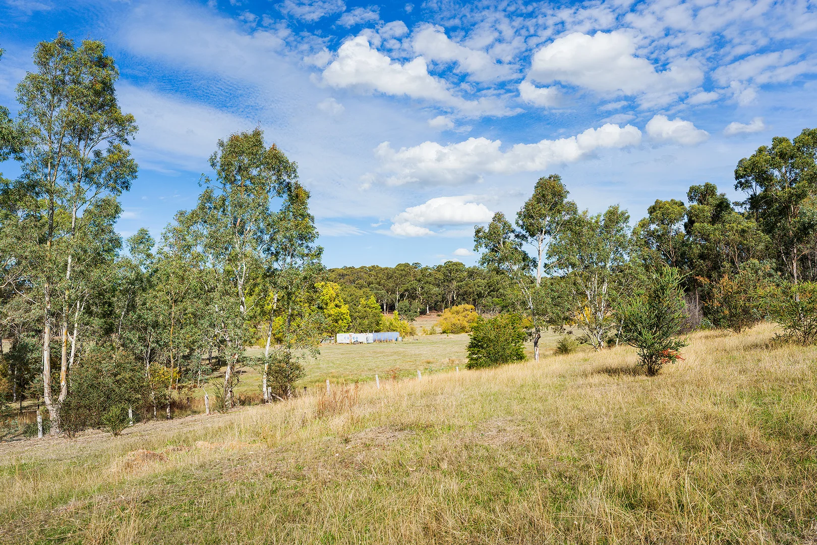 Image 14