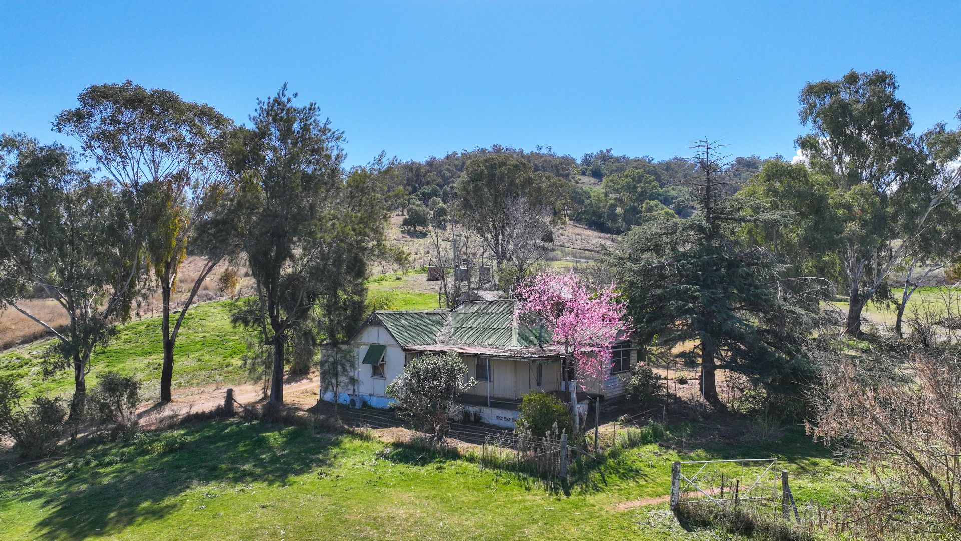 113 Ogunbil Road, Dungowan NSW 2340, Image 1