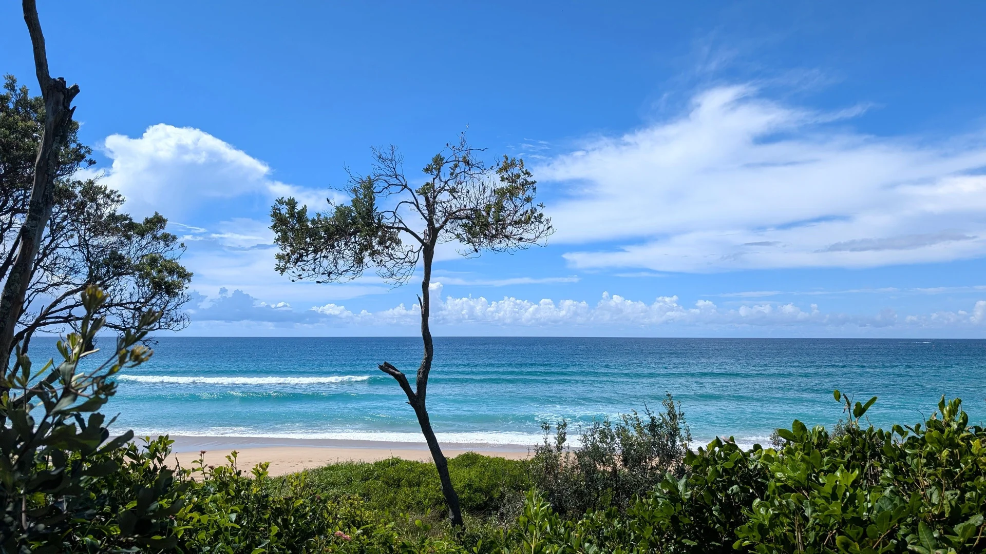 Additional image 15 of UNIT 5/87 Ocean Parade, Coffs Harbour NSW 2450