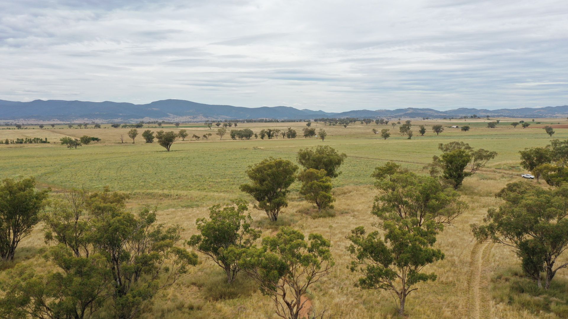 Hazeldene 205 GidleyAppleby Road, Tamworth NSW 2340 Farm for Sale