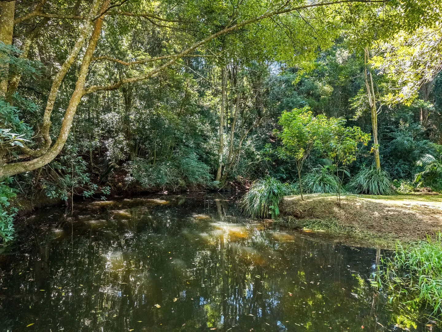 Additional image 25 of 120 Alstonvale Road, Alstonvale NSW 2477