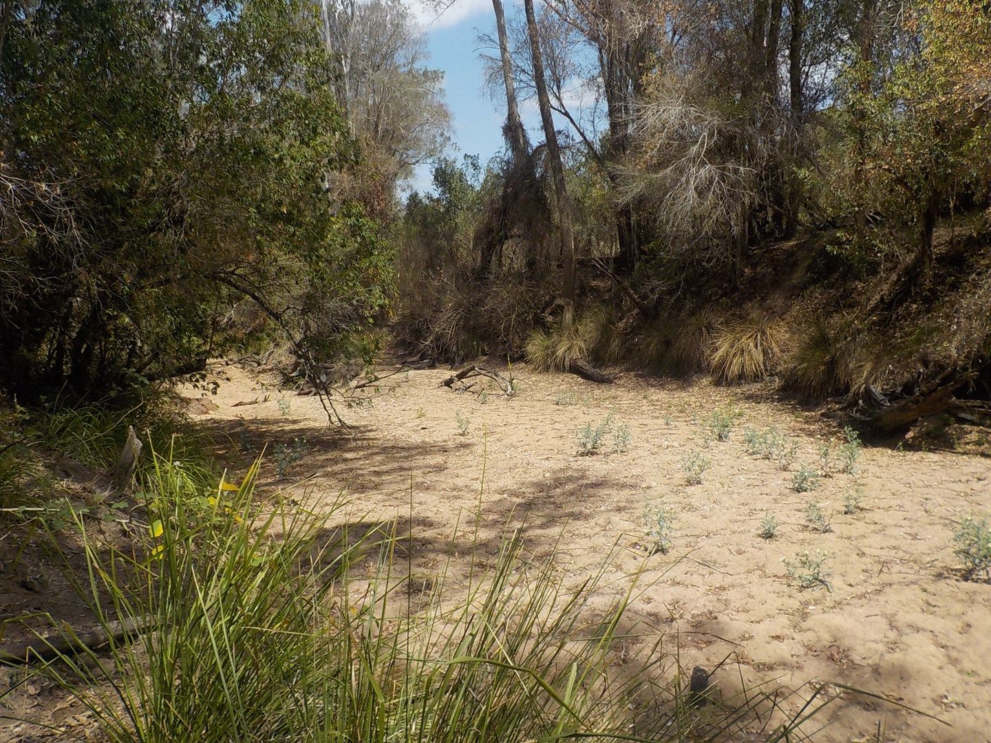 Acreage / Semi-Rural in , GIN GIN QLD, 4671