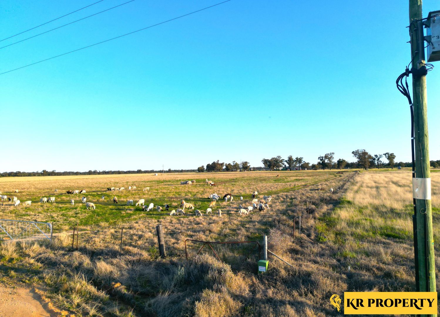 68 Piper Lane, Narrabri NSW 2390, Image 1