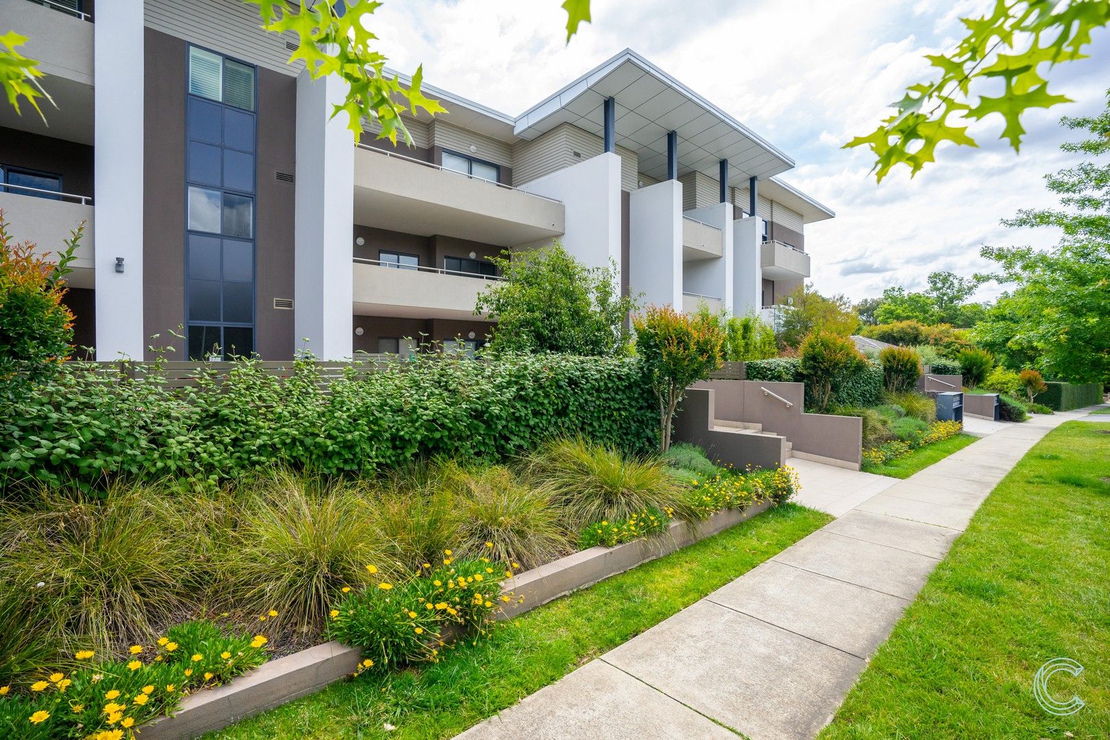 Deakin ACT 2600 1 bed apartment for Sale, 499,000+ 2018268800 Domain