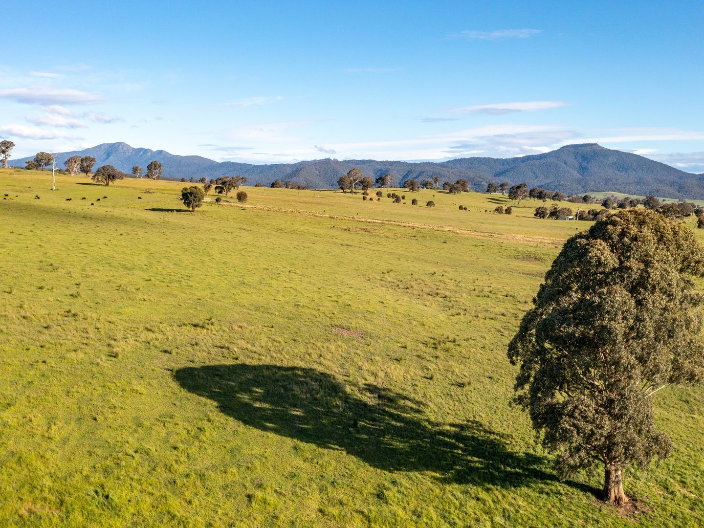 2 582 Buttercup Road, Merrijig VIC 3723 Vacant Land for Sale