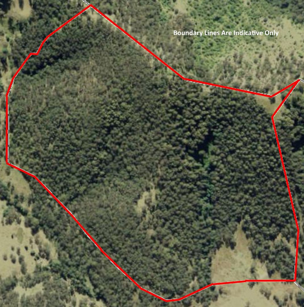 Burrell Creek NSW 2429, Image 2