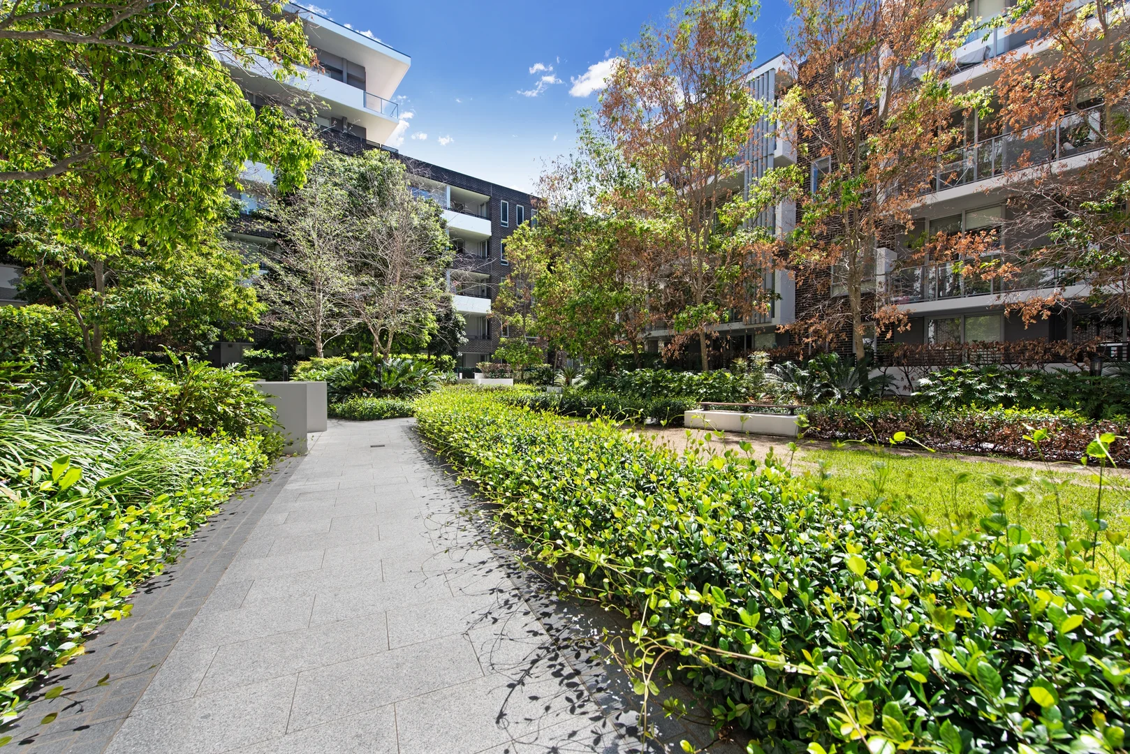Image 10