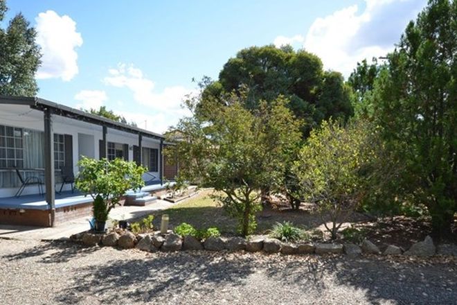 Picture of 14 Park Avenue, MOONBI NSW 2353