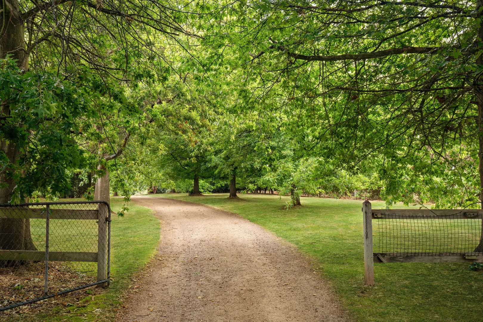 Additional image 18 of 90 Thompsons Lane, Merricks VIC 3916