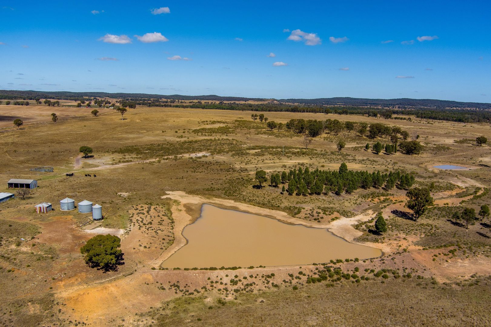 569 Wongoni Road, Dunedoo NSW 2844 House for Sale Domain