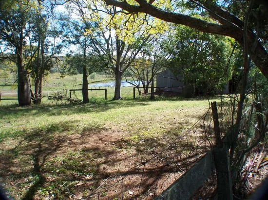 Image 13