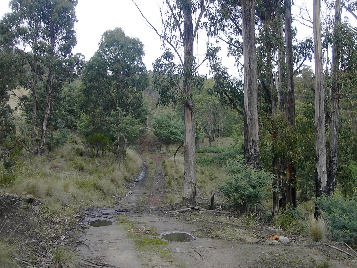 Additional image 4 of 420 Springhill Bottom Road, Colebrook TAS 7027