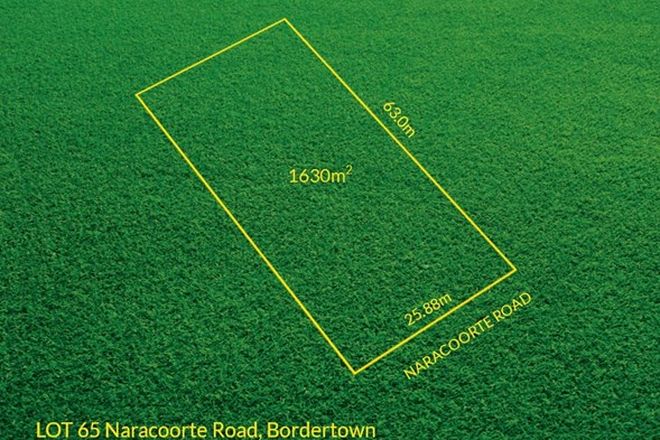 Picture of Lot 65 Naracoorte Road, BORDERTOWN SA 5268