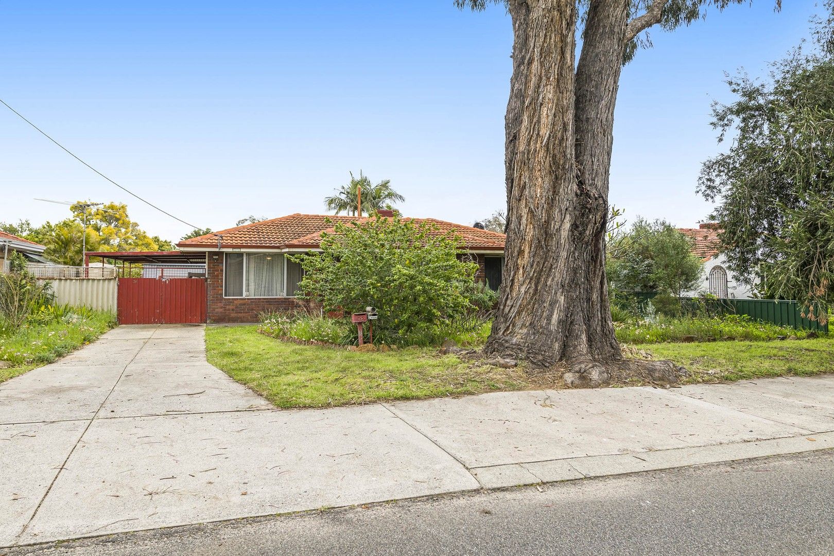 3 bedrooms House in 38 Champion Drive ARMADALE WA, 6112