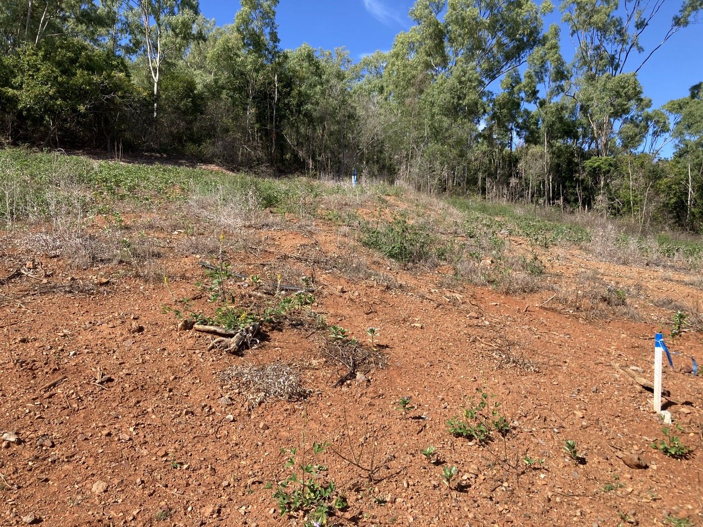 Lot 77 Macaranga Place, Taranganba QLD 4703, Image 0