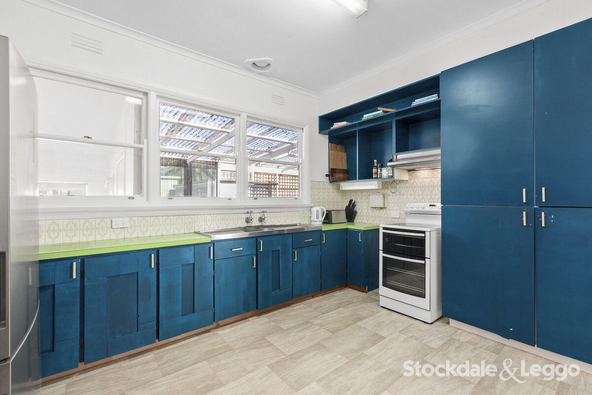 65 Clifton Springs Road, Drysdale VIC 3222 House For Rent Domain