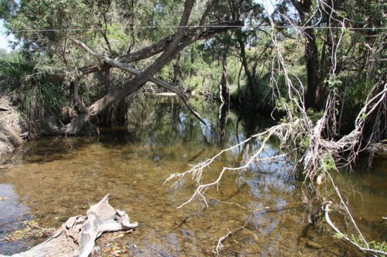 Upper Glastonbury QLD 4570, Image 1