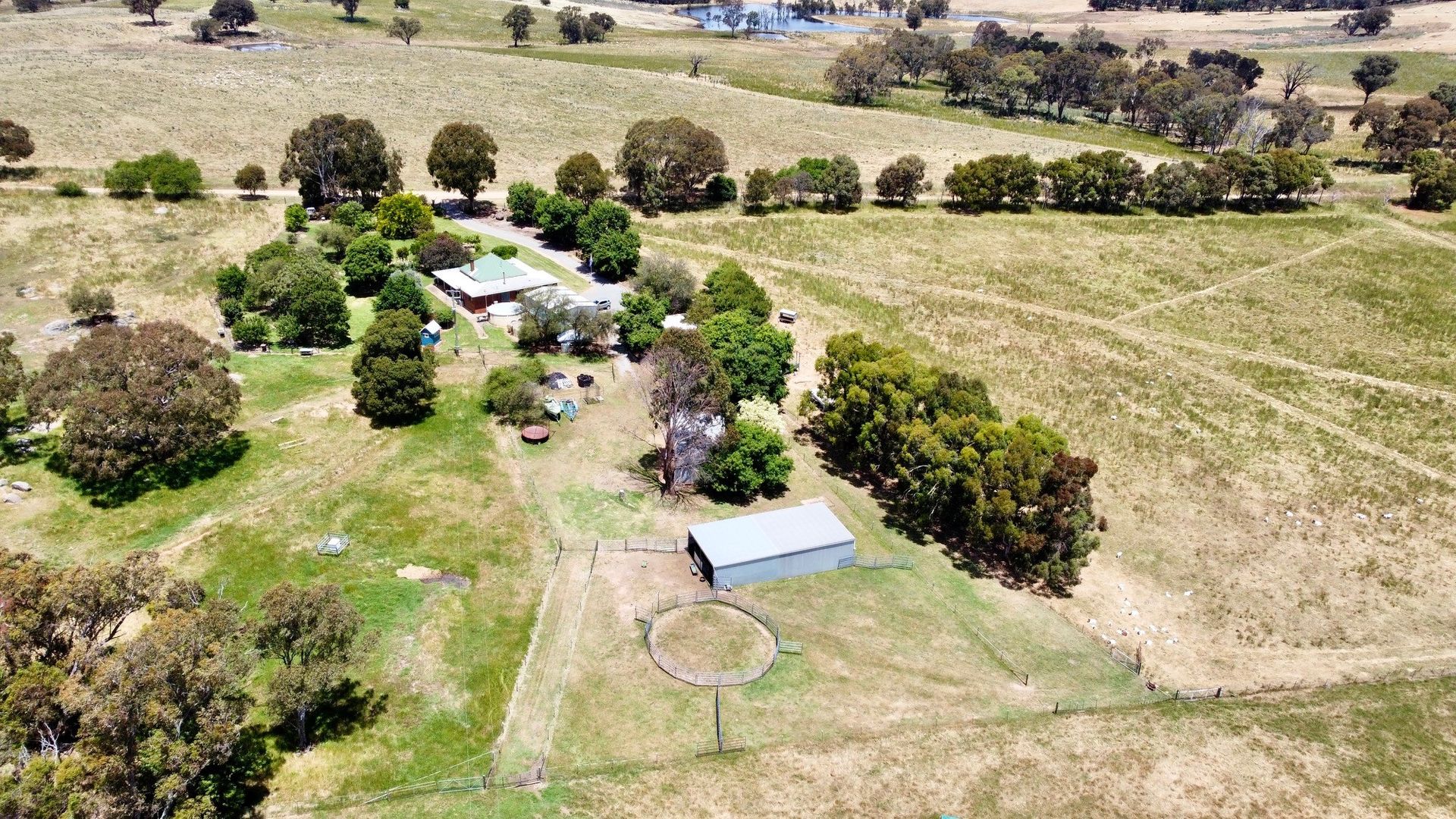 1200 Boundary Road, Young NSW 2594, Image 2