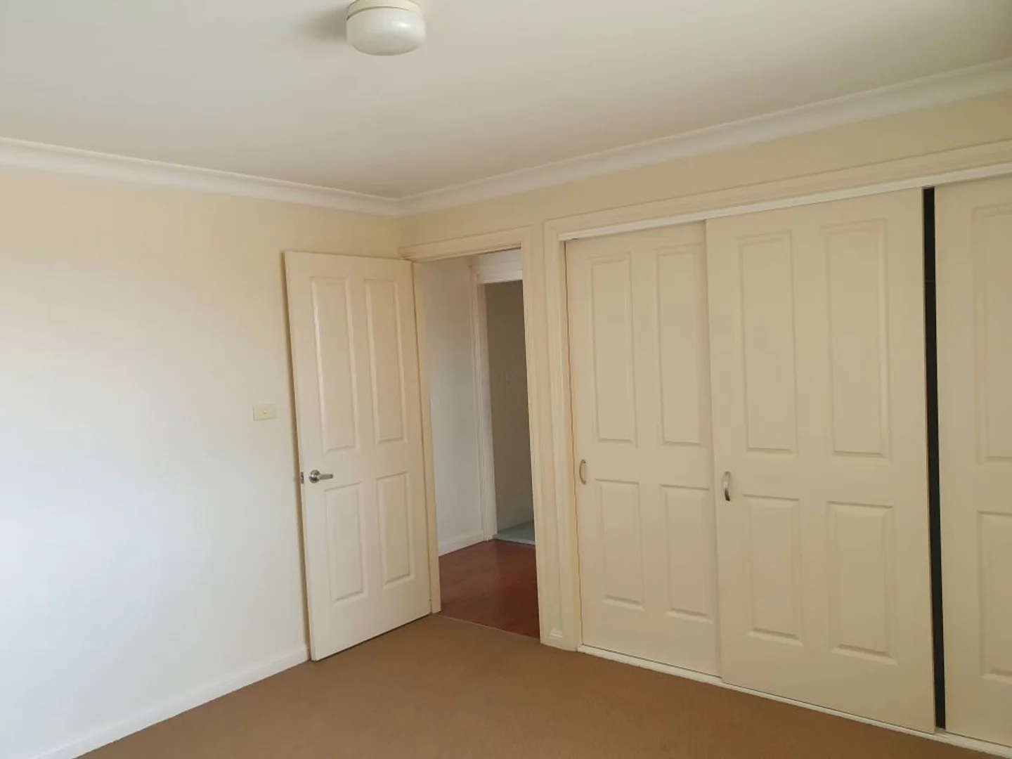 Additional image 12 of 117 Hill Street, Muswellbrook NSW 2333