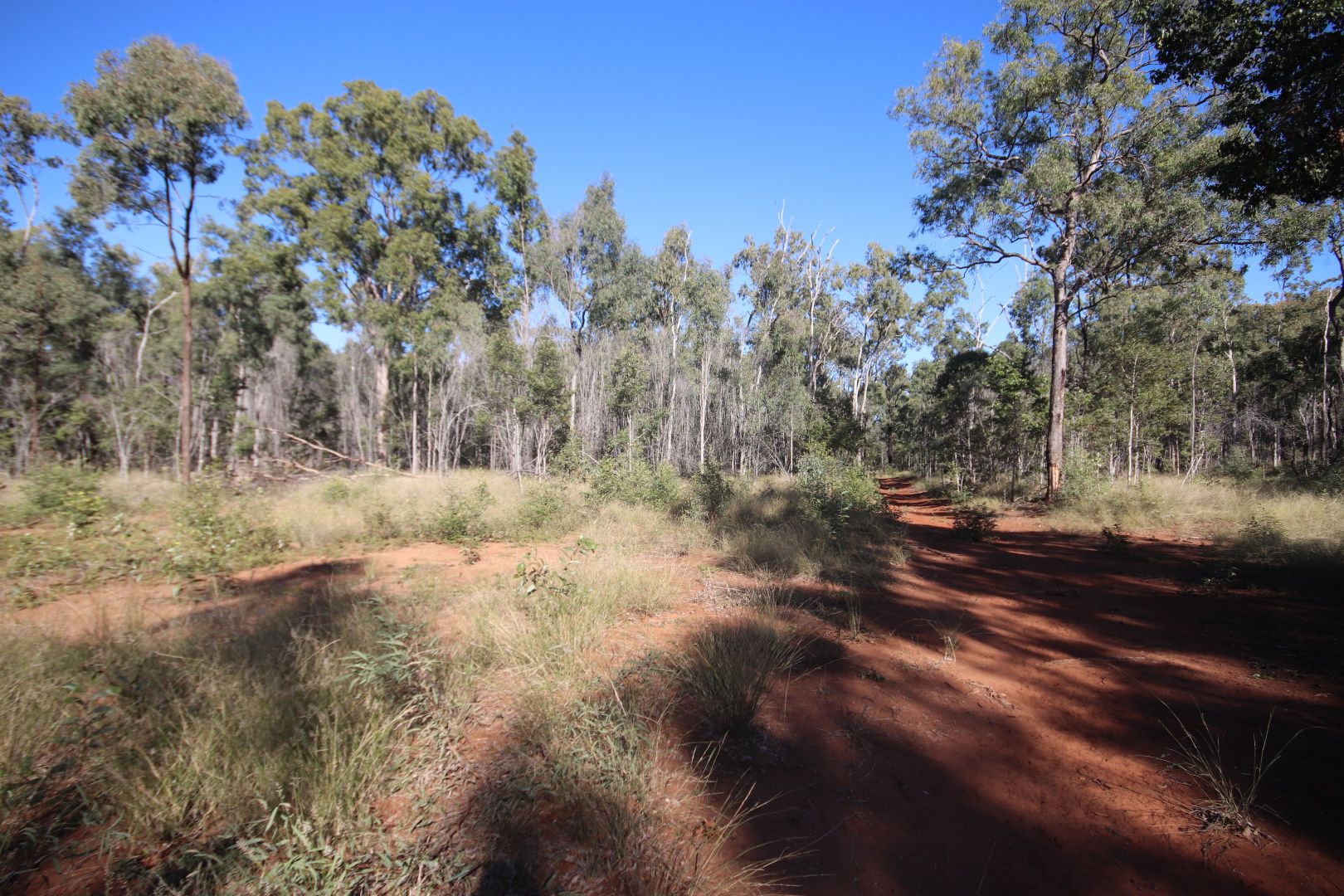 0 Greentree Lane, Beeron, Mundubbera QLD 4626 House for Sale 415,000