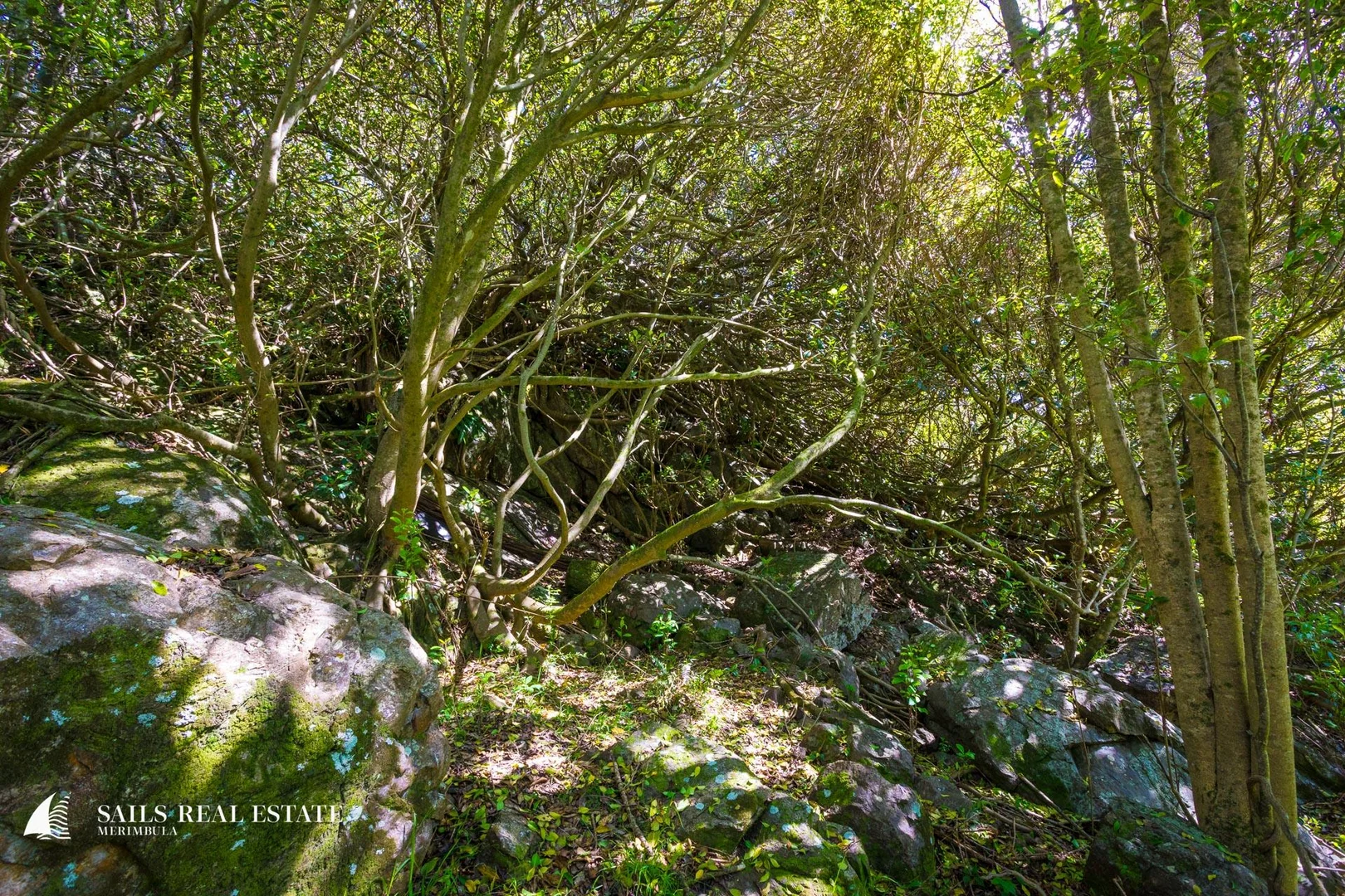 Additional image 33 of 471 Mount Darragh Road, Lochiel NSW 2549