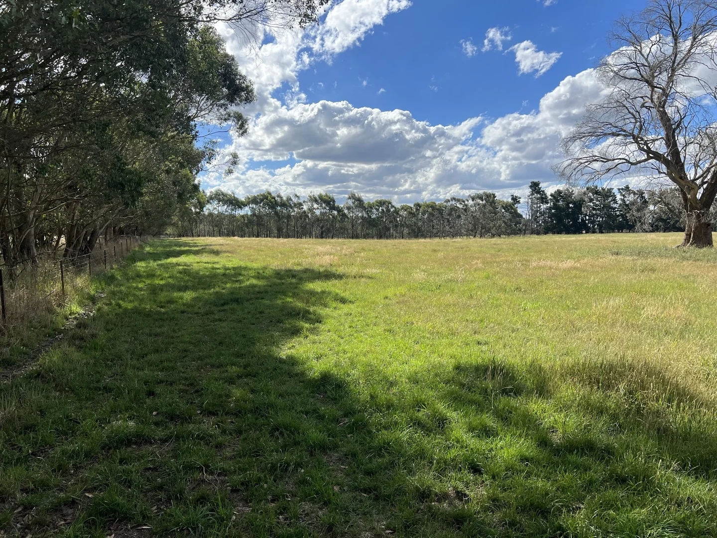 Image 32