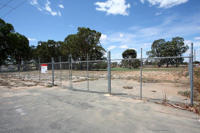 Picture of Lot 288 Starcevich Road, LOXTON SA 5333