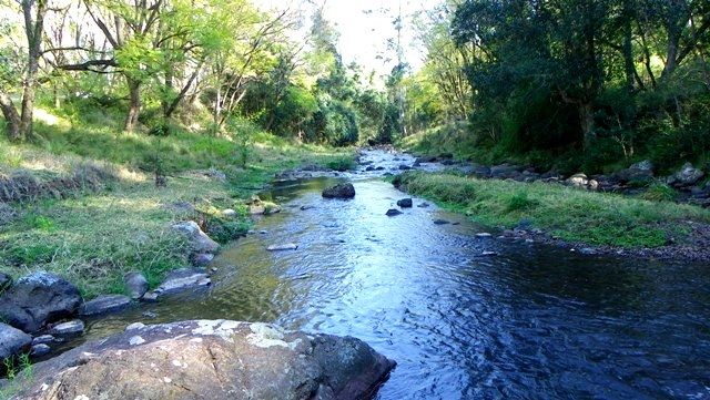 Lot 89 Toms Creek Road, TOMS CREEK NSW 2446, Image 2