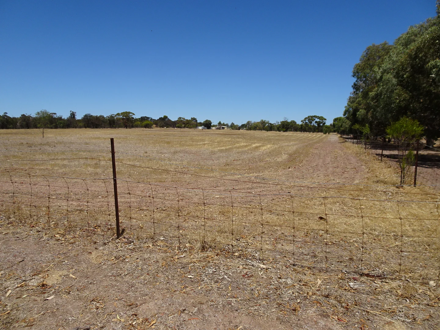 Additional image 11 of 5 Realm Street, Pingelly WA 6308