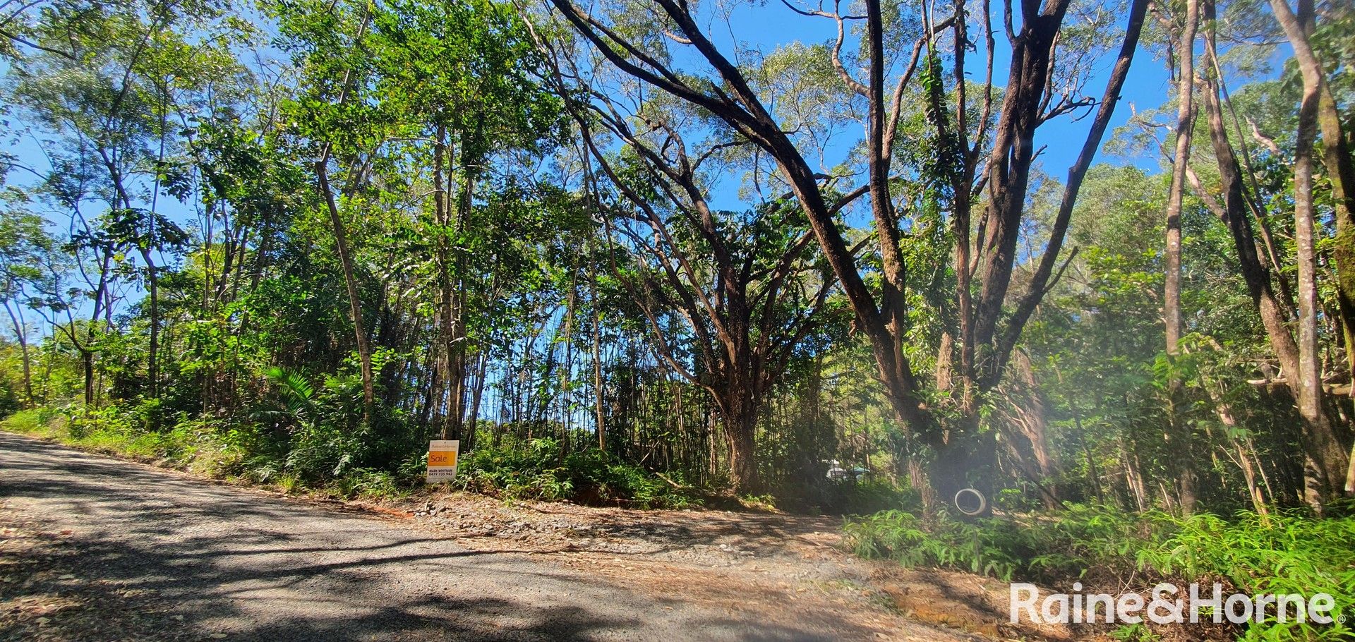 Lot 54 George Road, Forest Creek QLD 4873, Image 0
