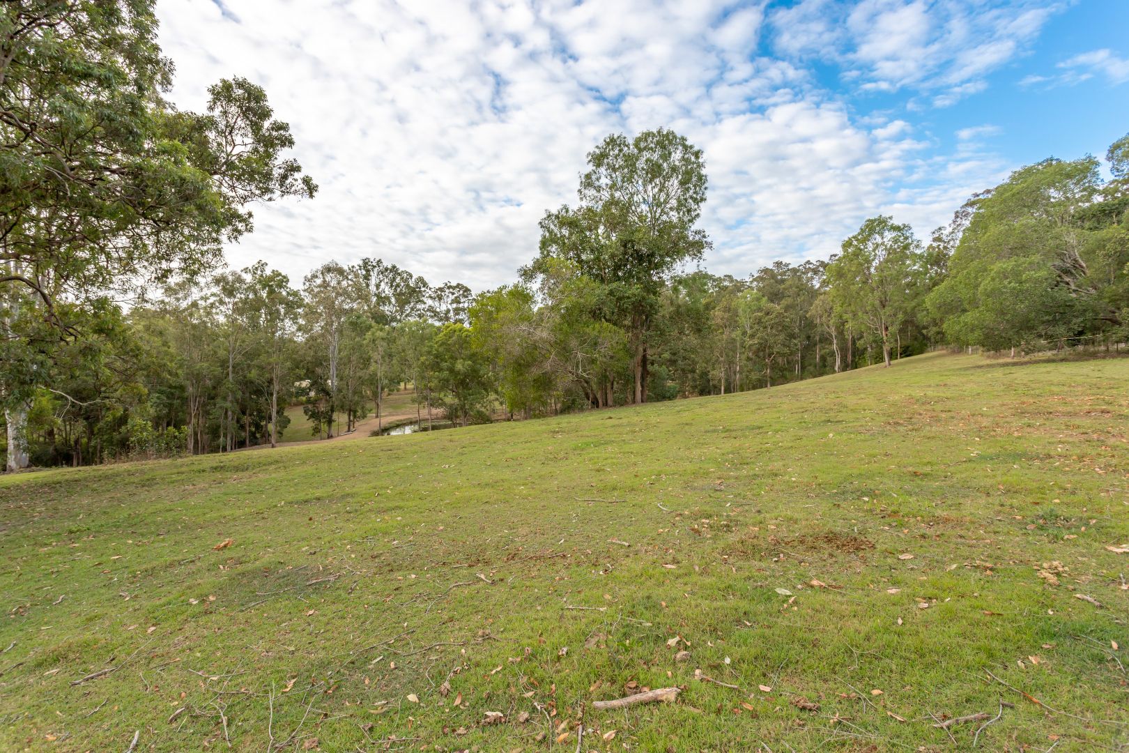 Carters Ridge QLD 4563, Image 2