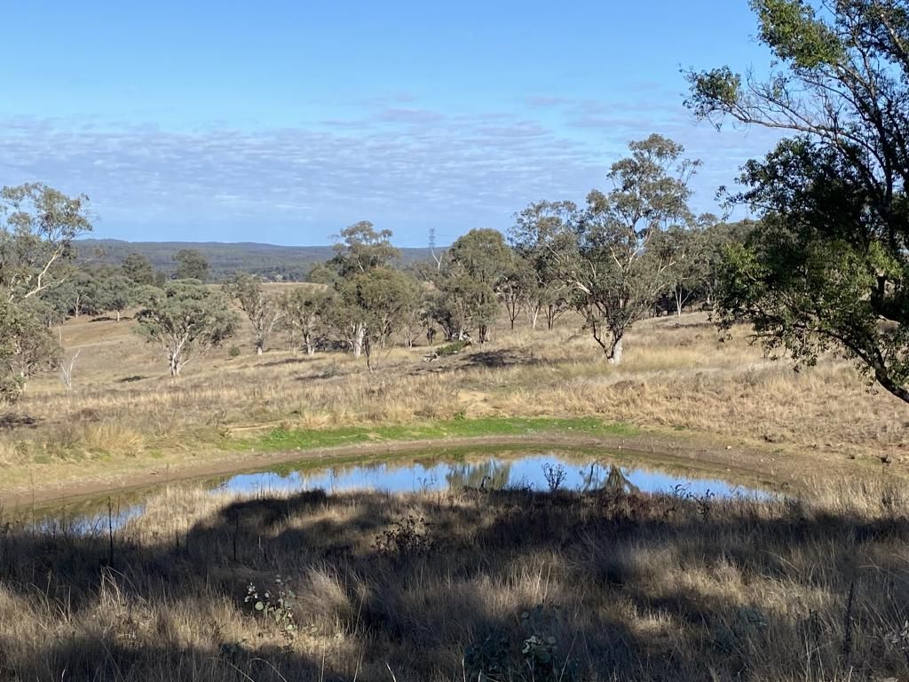 234 Possum Springs Road, Merriwa NSW 2329 House for Sale 1,550,000