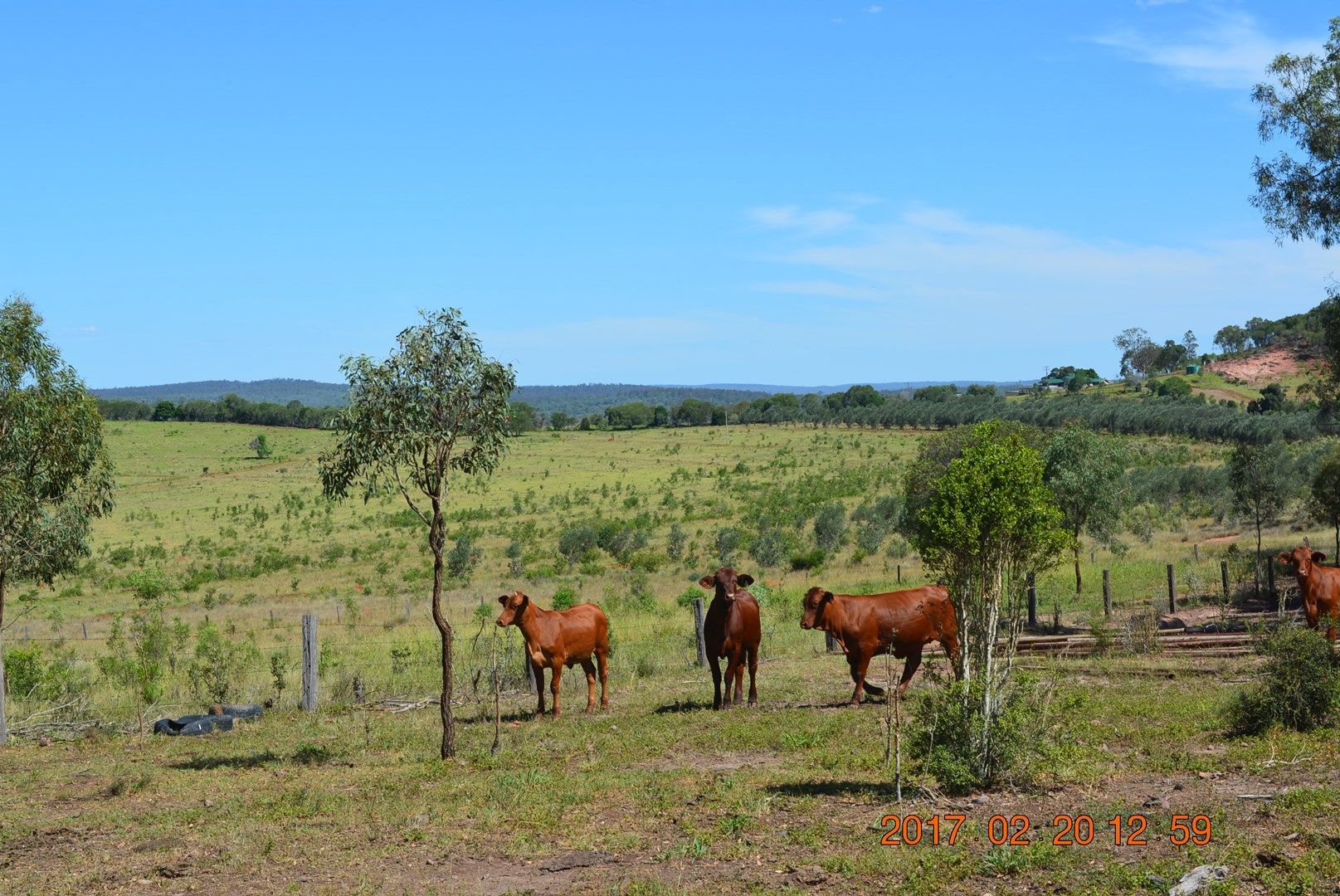 Kinleymore QLD 4613, Image 0