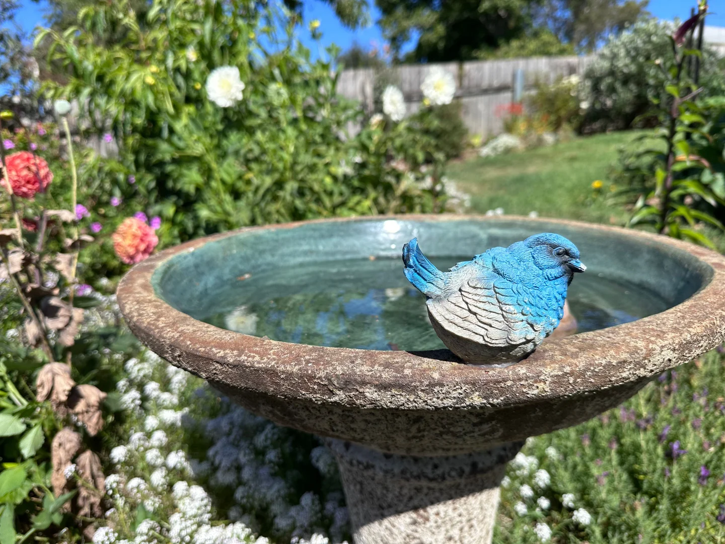 Image 25