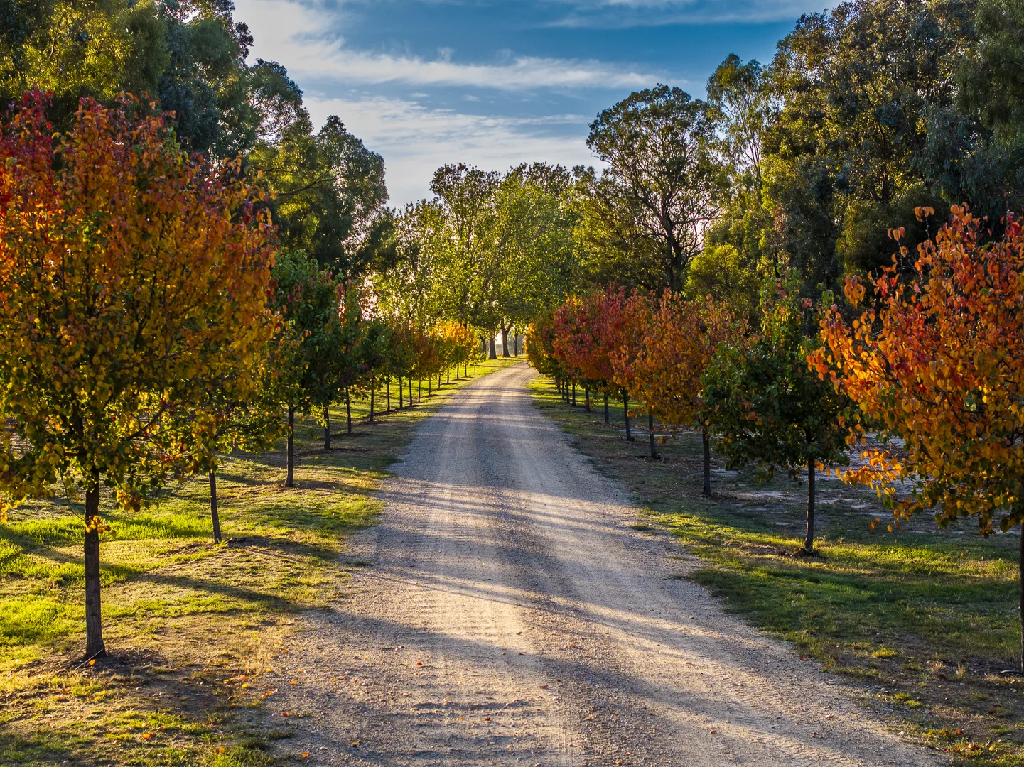 Additional image 32 of 610 Ulupna Bridge Road, Ulupna VIC 3641