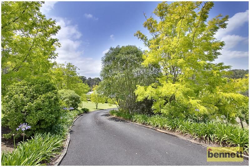 77 Comleroy Road, KURRAJONG NSW 2758, Image 2