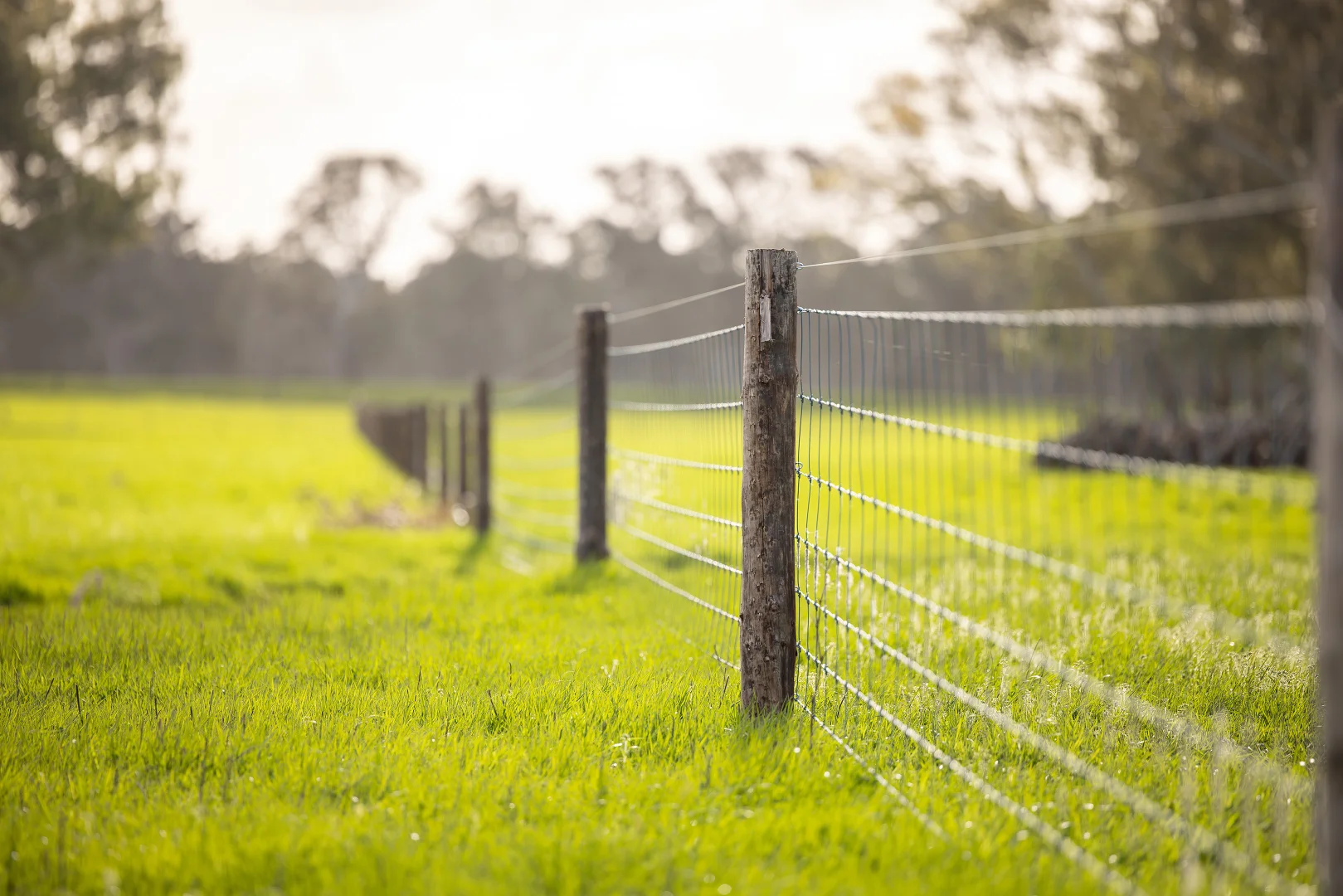 Additional image 33 of 546 Bool Lagoon West Road, Penola SA 5277