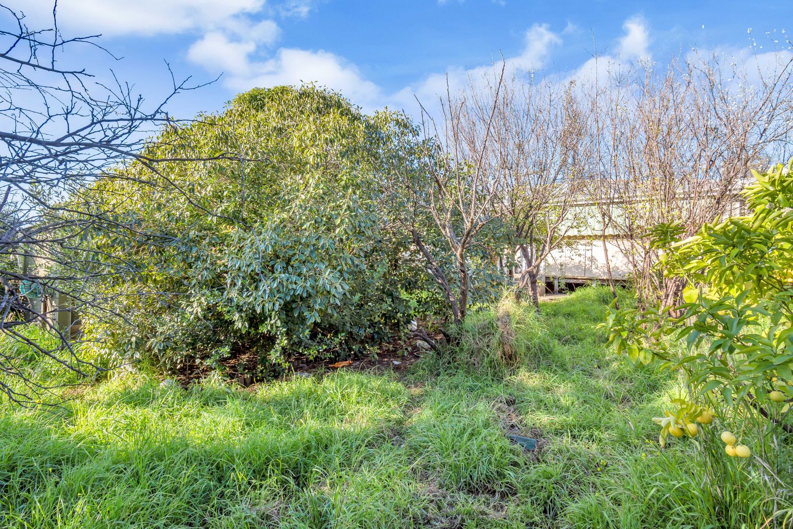 13 Ridgeway Avenue, Enfield SA 5085, Image 2