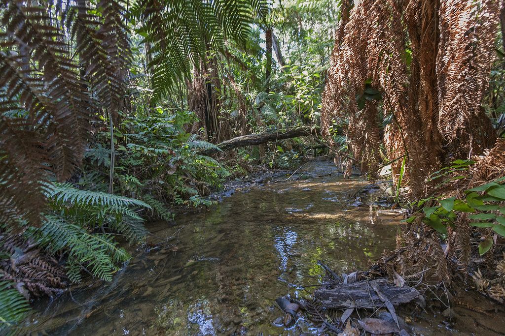 46 Johansen Road, Kinglake VIC 3763, Image 2